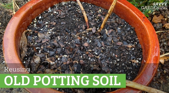 How to refresh and reuse old potting soil