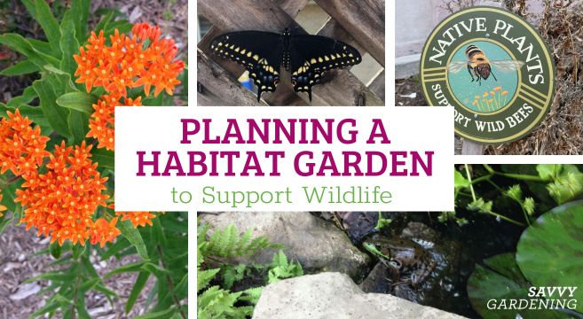 planning a habitat garden