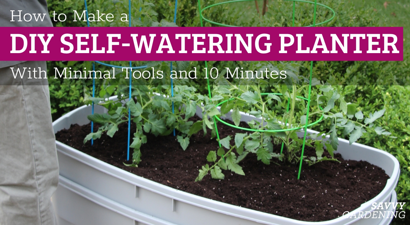 How to make a DIY self-watering planter