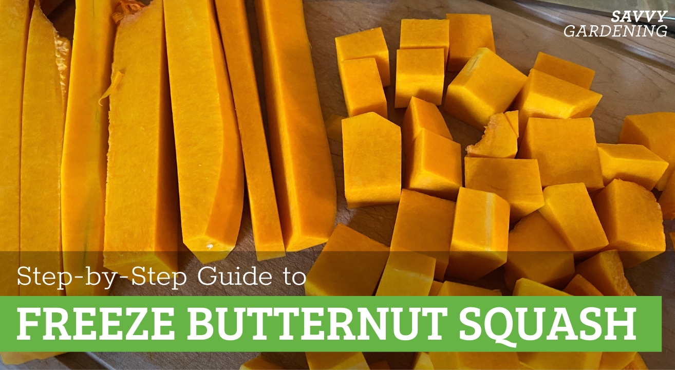 Step by Step Guide to Freezing Butternut Squash
